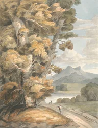 Der Weg zum See